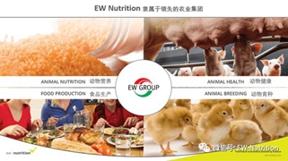 重磅：EW Nutrition收购Novus(诺伟司)饲料质量和色素业务